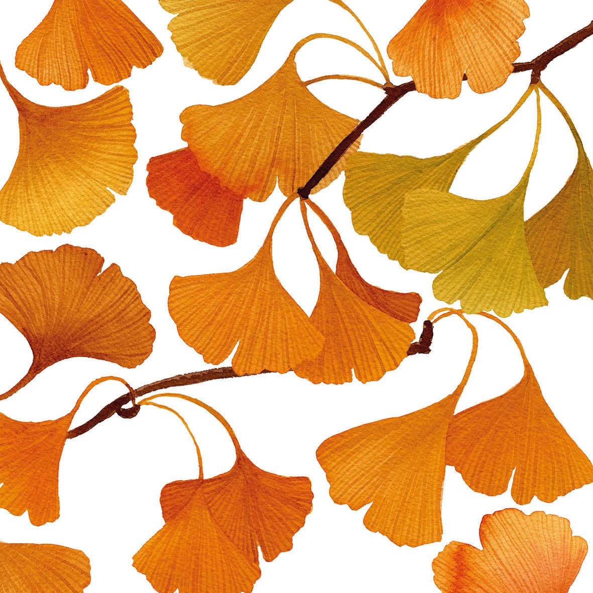 Serviettes en papier x20 - Ginko automnal