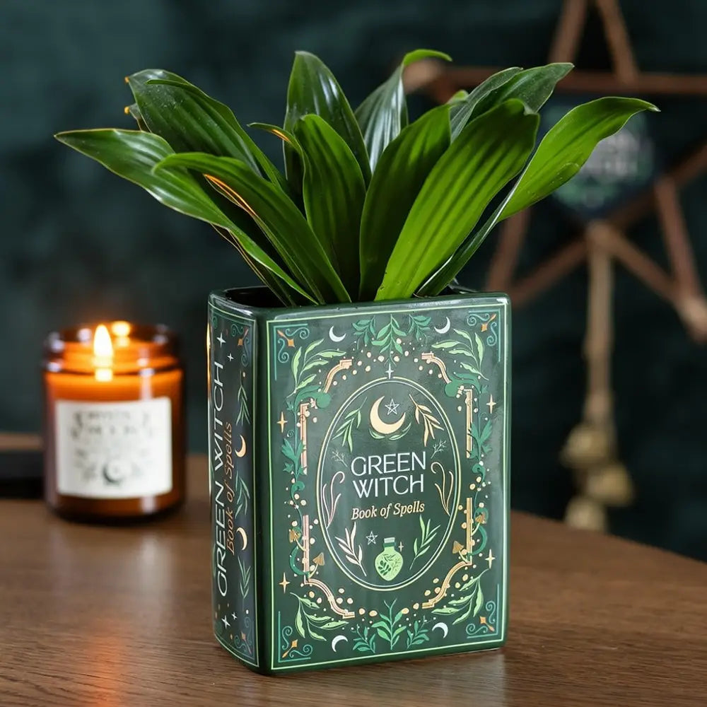 Vase livre « Green witch »