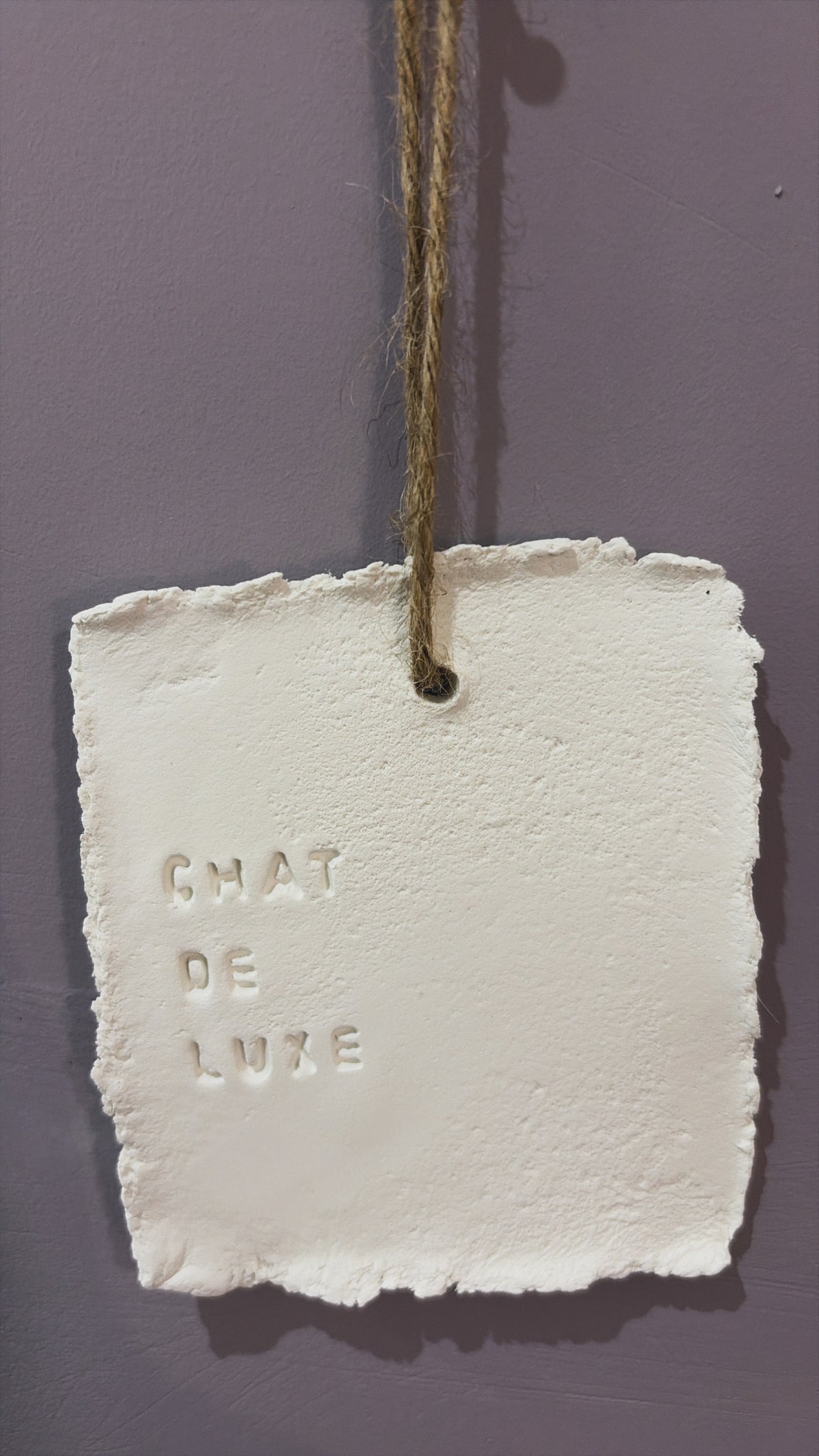 Plaque décorative « Chat de luxe » - à suspendre ou à poser - argile - Taille S