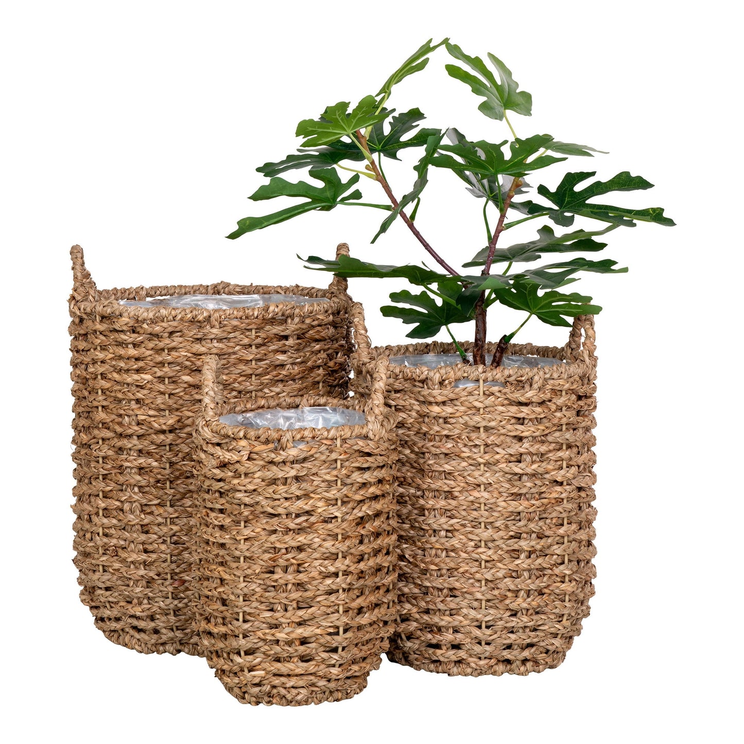 Jardinière « Hue » - différentes tailles disponibles