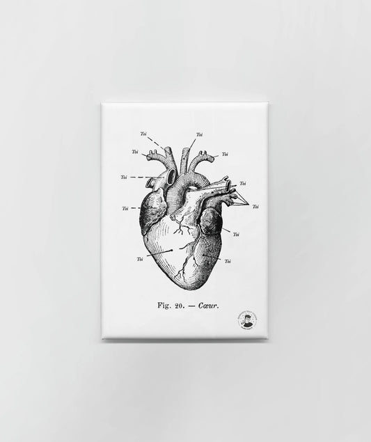 Magnet « Anatomie de mon coeur »