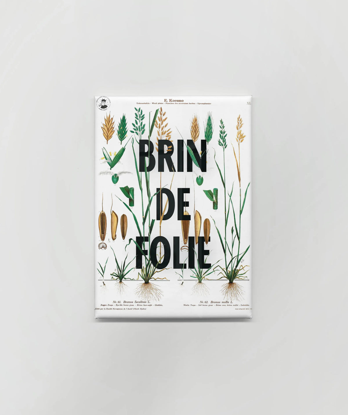 Magnet « Brin de folie »