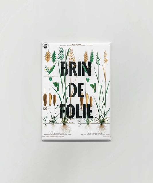 Magnet « Brin de folie »