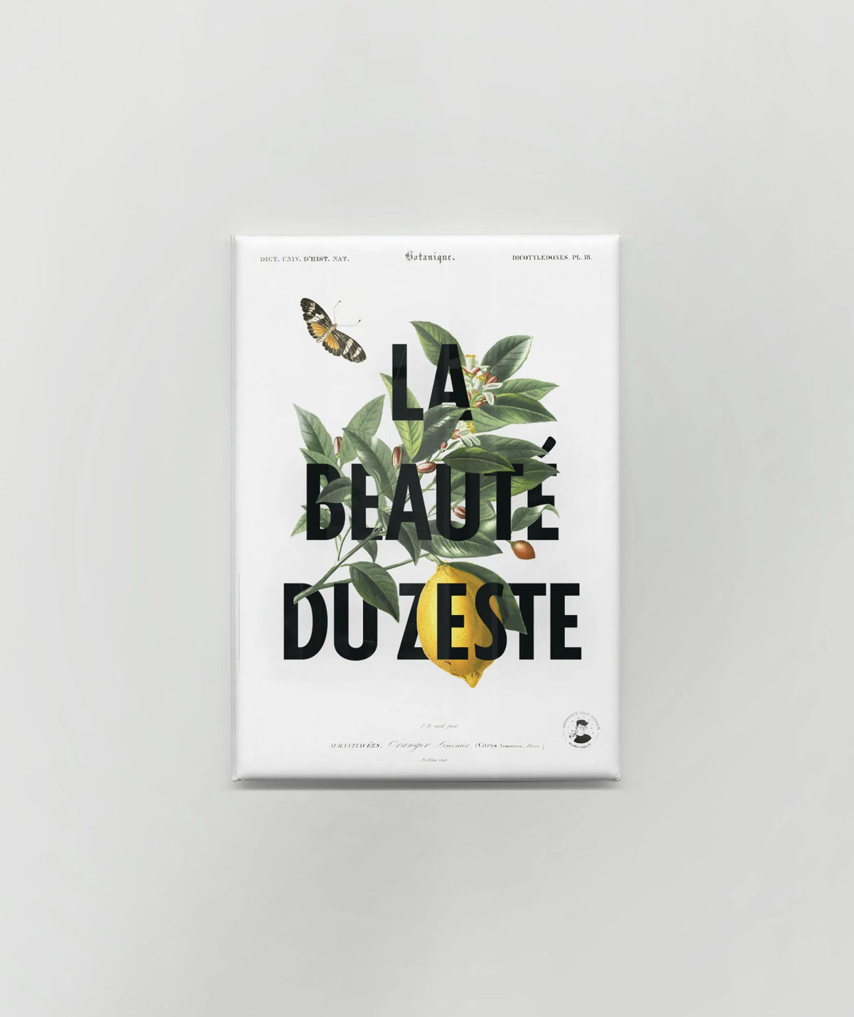 Magnet « La beauté du zeste »