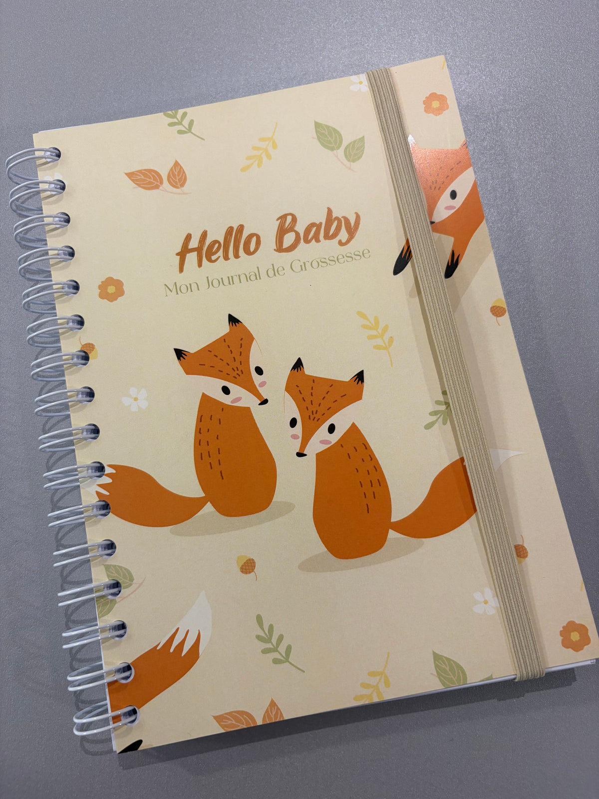 Carnet de grossesse et de naissance « Hello baby » - 2 variantes disponibles