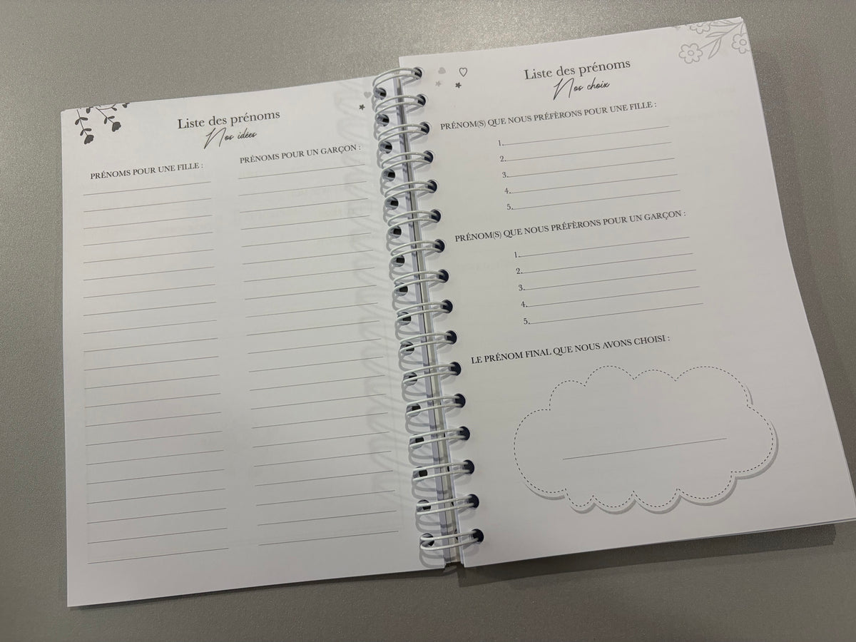 Carnet de grossesse et de naissance « Hello baby » - 2 variantes disponibles