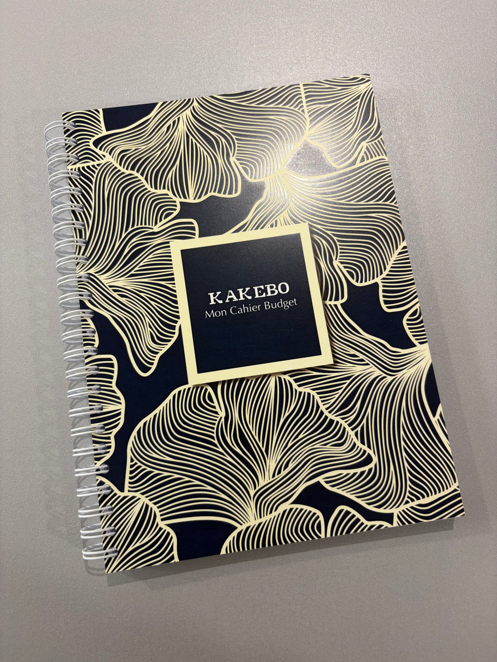 Carnet de budget « Kakebo » - deux variantes disponibles