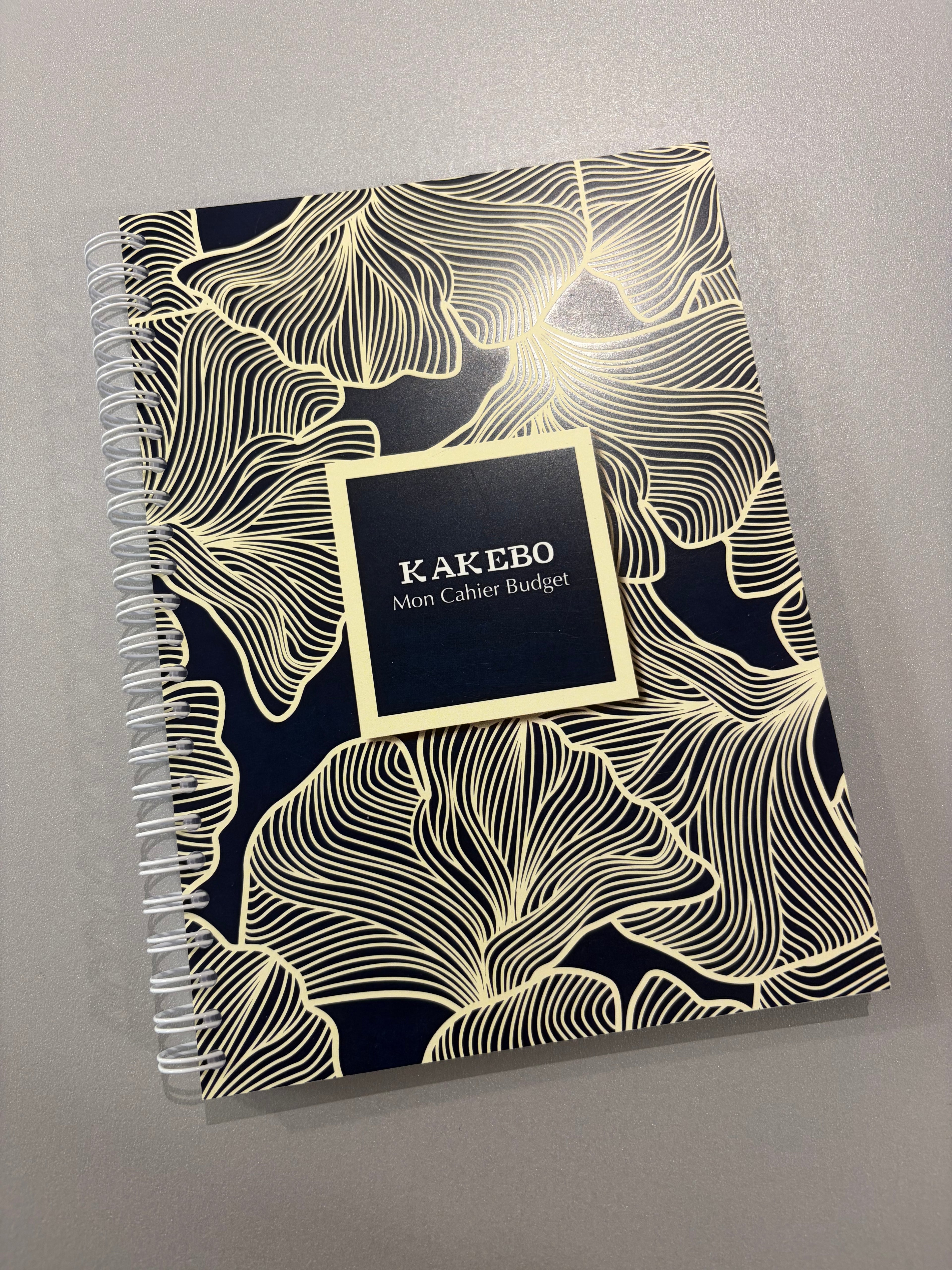 Carnet de budget « Kakebo » - deux variantes disponibles