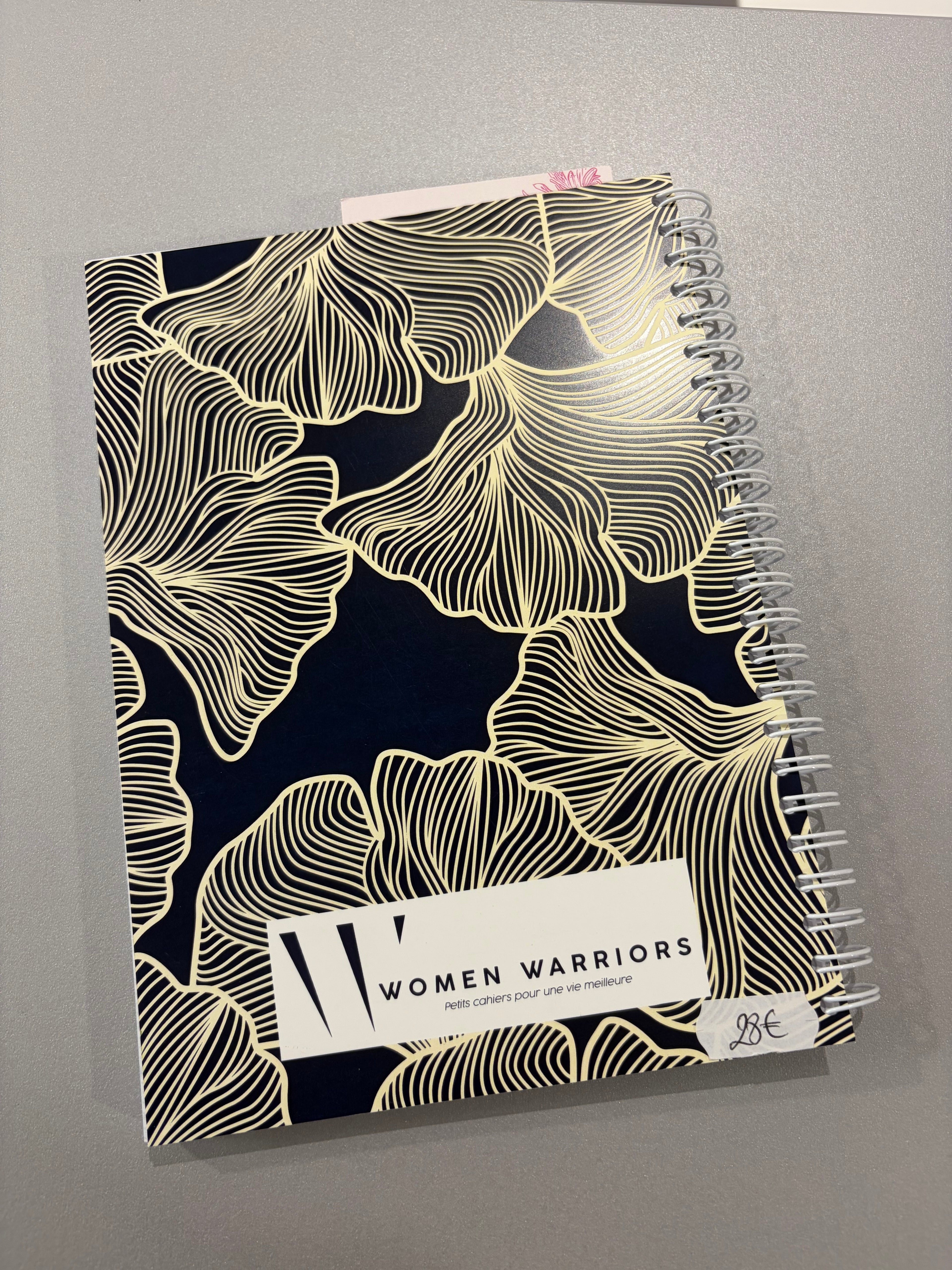 Carnet de budget « Kakebo » - deux variantes disponibles