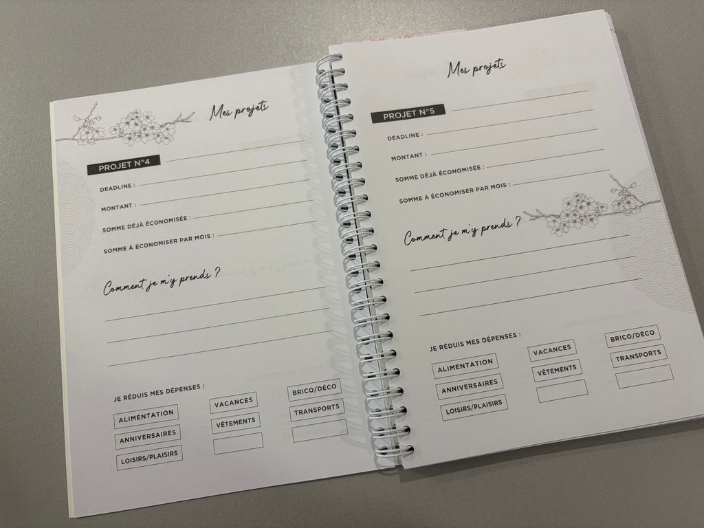 Carnet de budget « Kakebo » - deux variantes disponibles