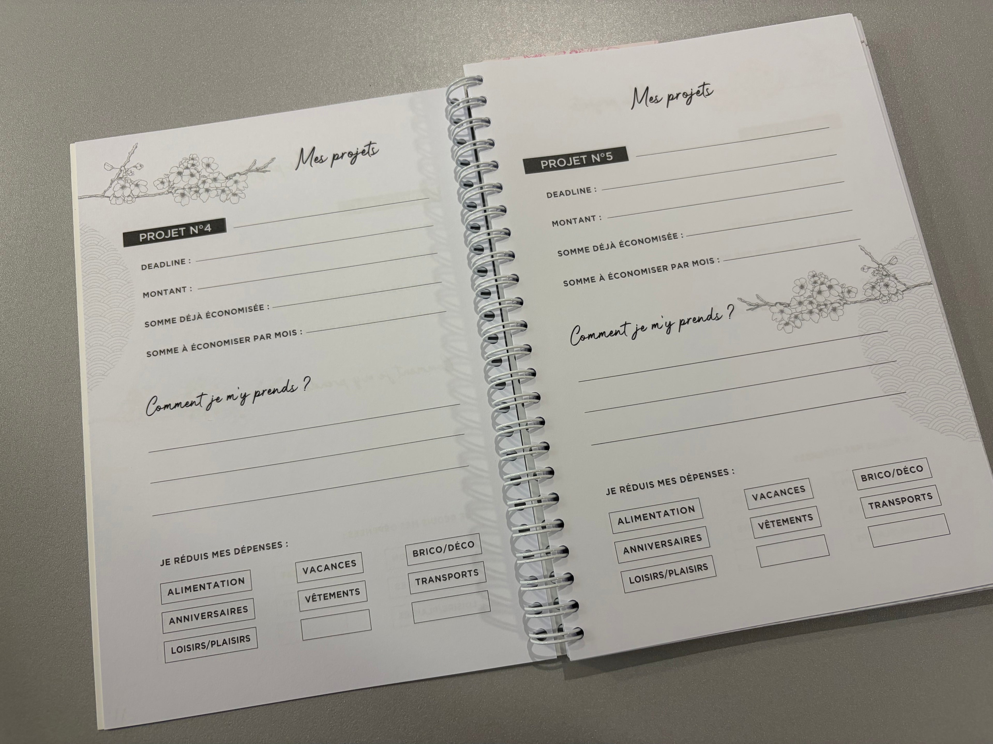 Carnet de budget « Kakebo » - deux variantes disponibles