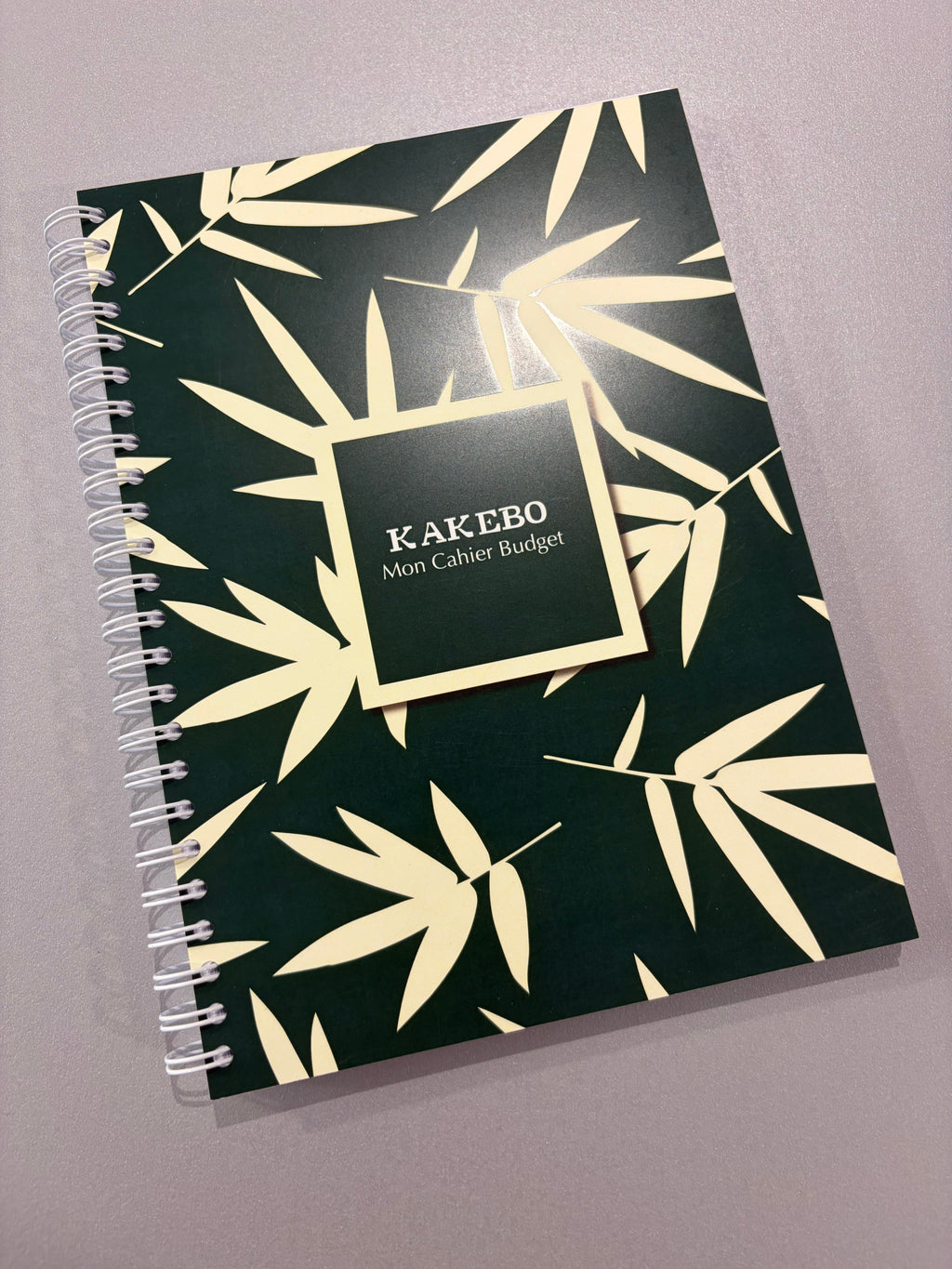 Carnet de budget « Kakebo » - deux variantes disponibles