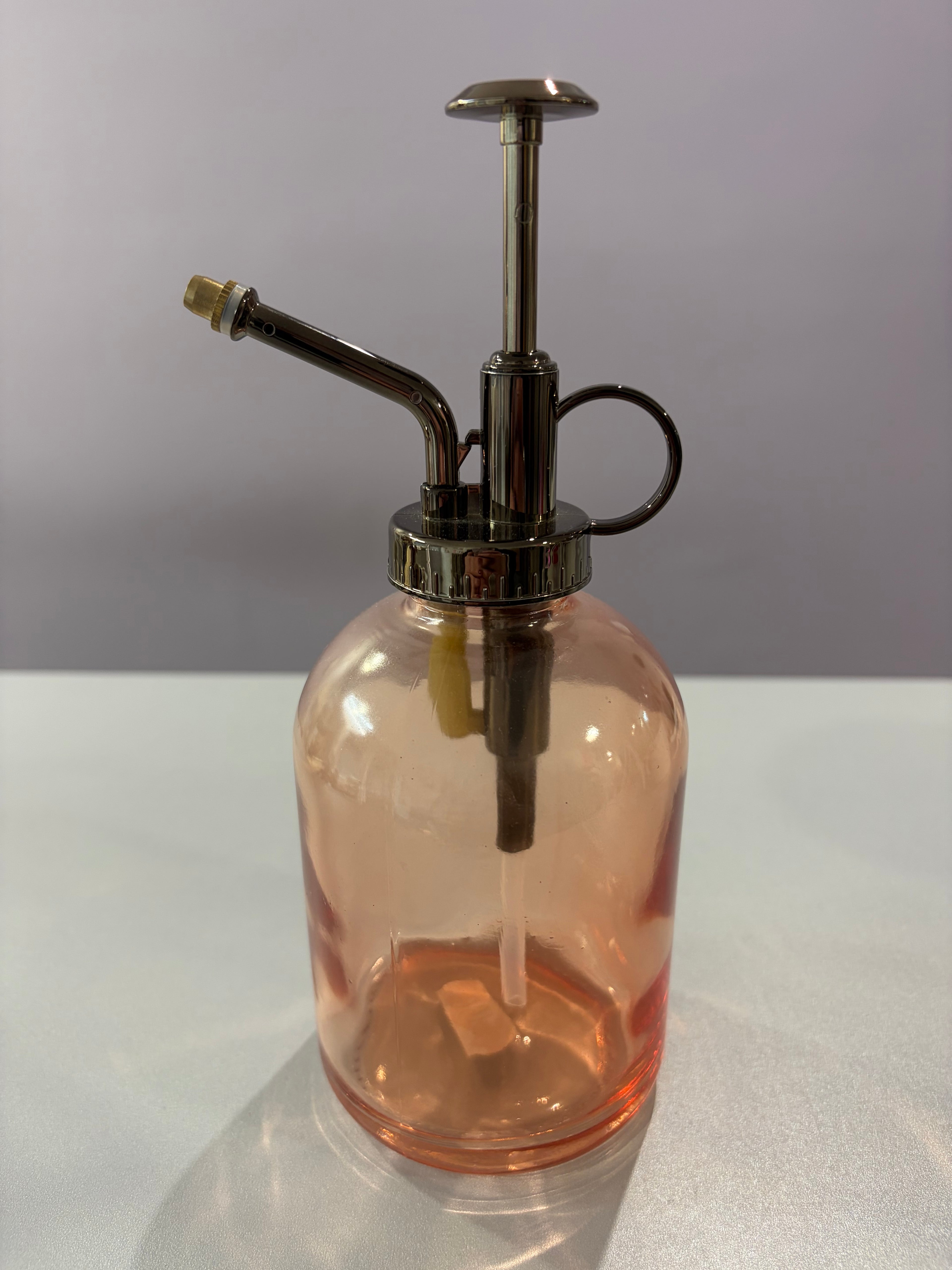 Vaporisateur vapeur pour plante
