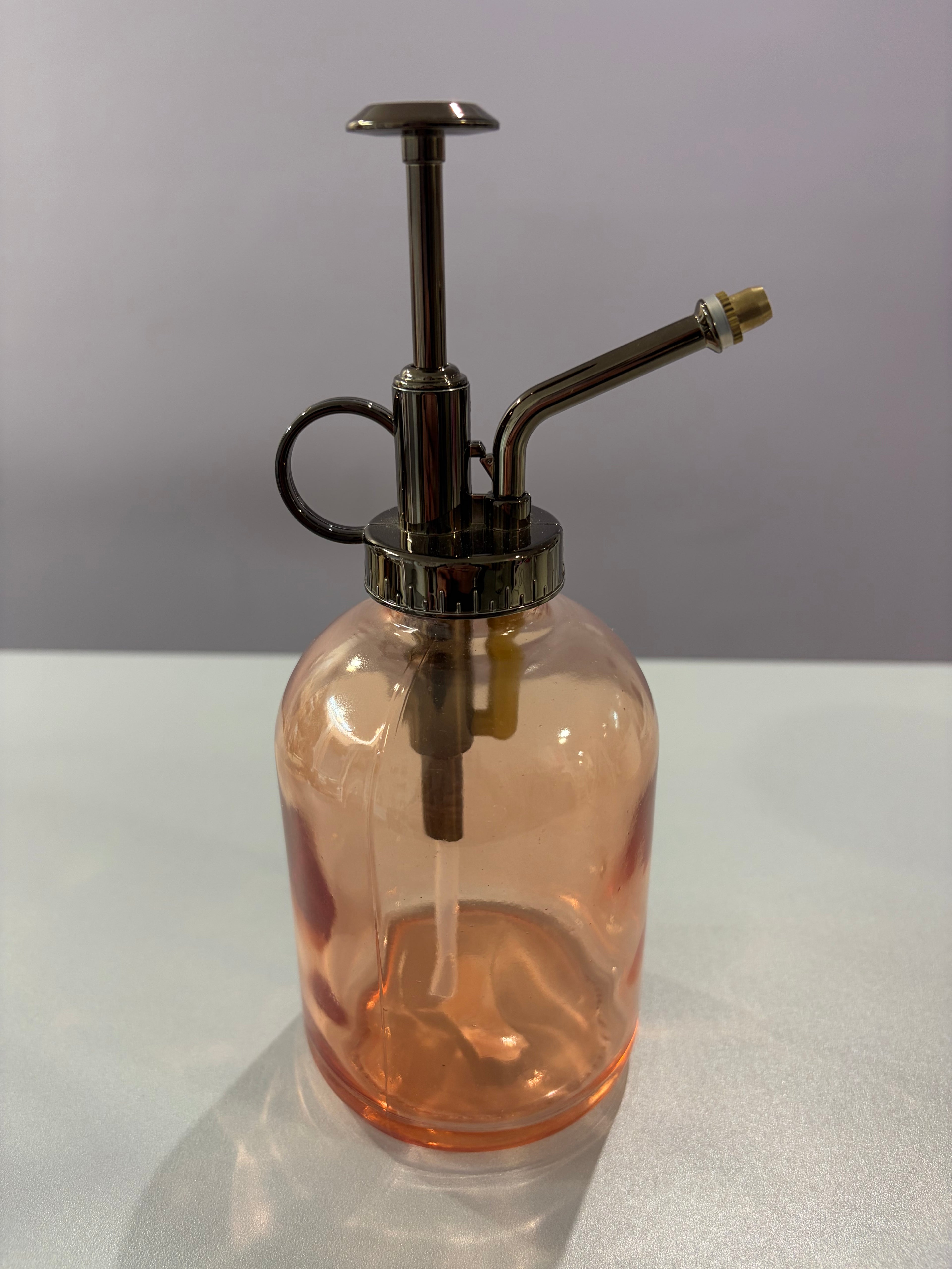 Vaporisateur vapeur pour plante