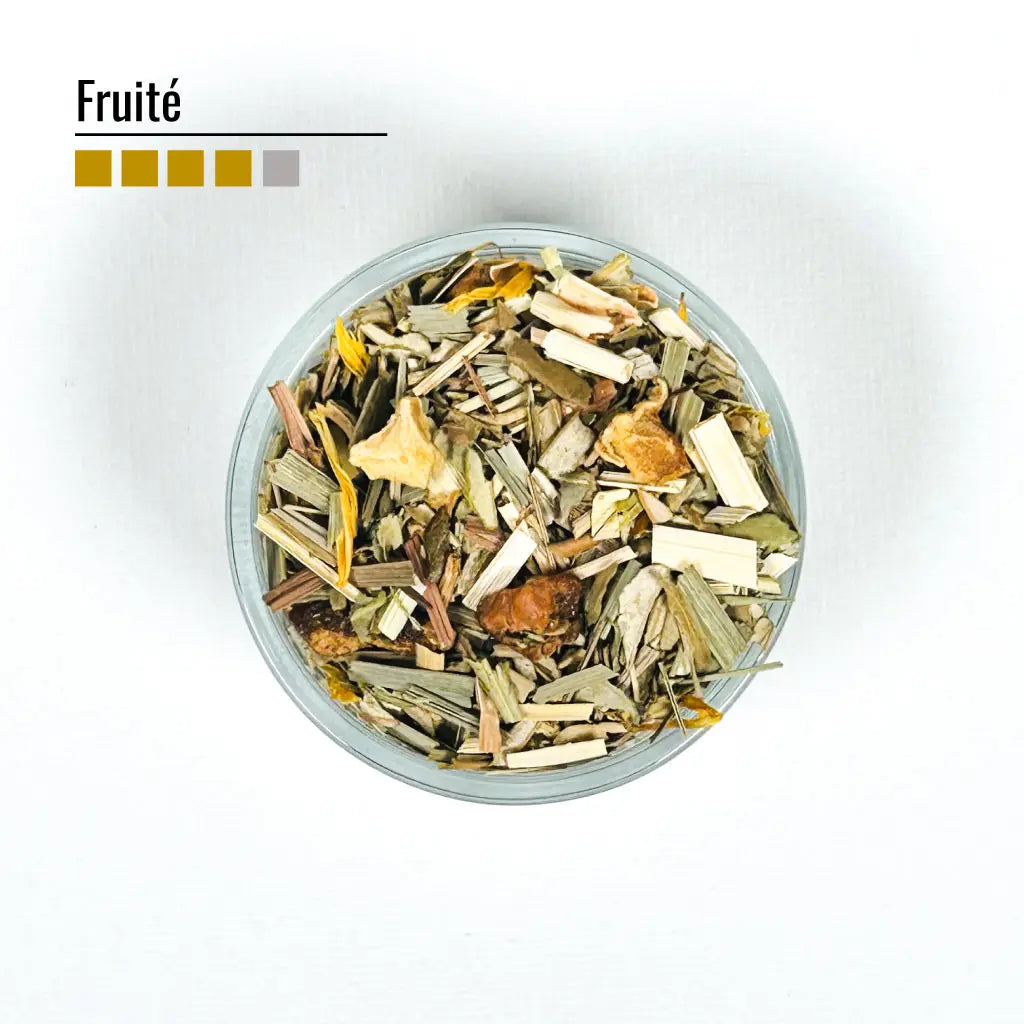 Infusion « Notre-Dame de Paris »