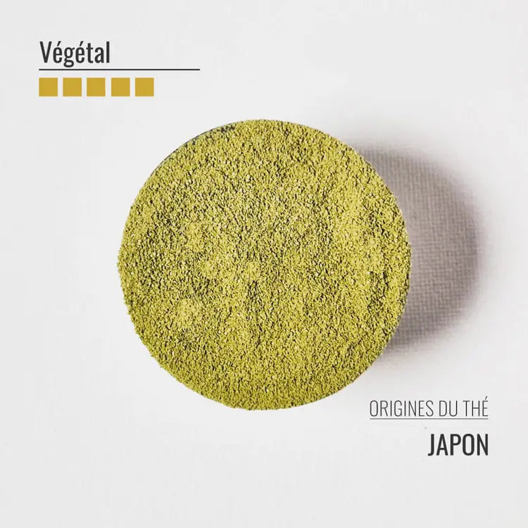 Matcha de cérémonie BIO