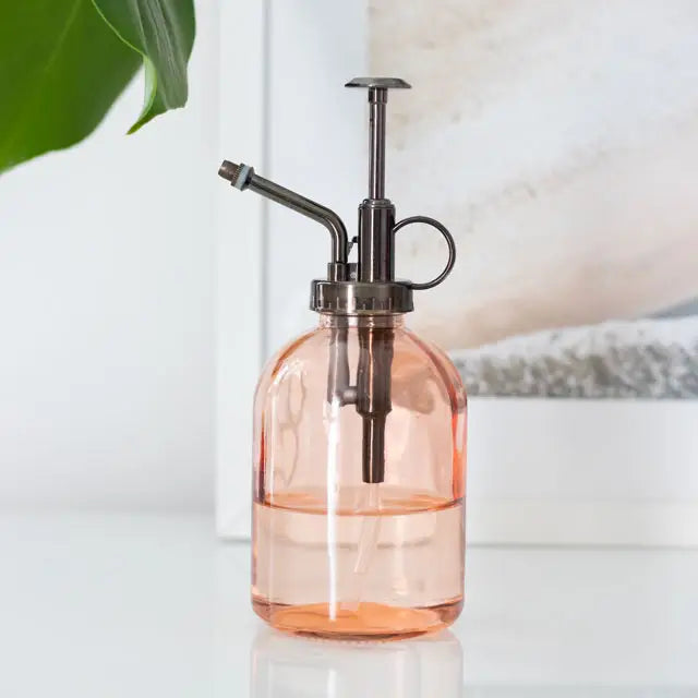 Vaporisateur vapeur pour plante