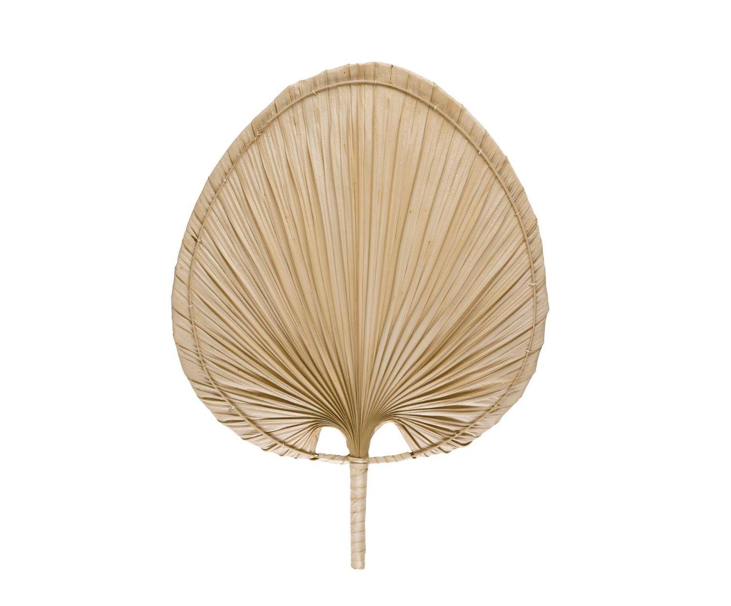 Feuilles de palmier - deux variantes de taille