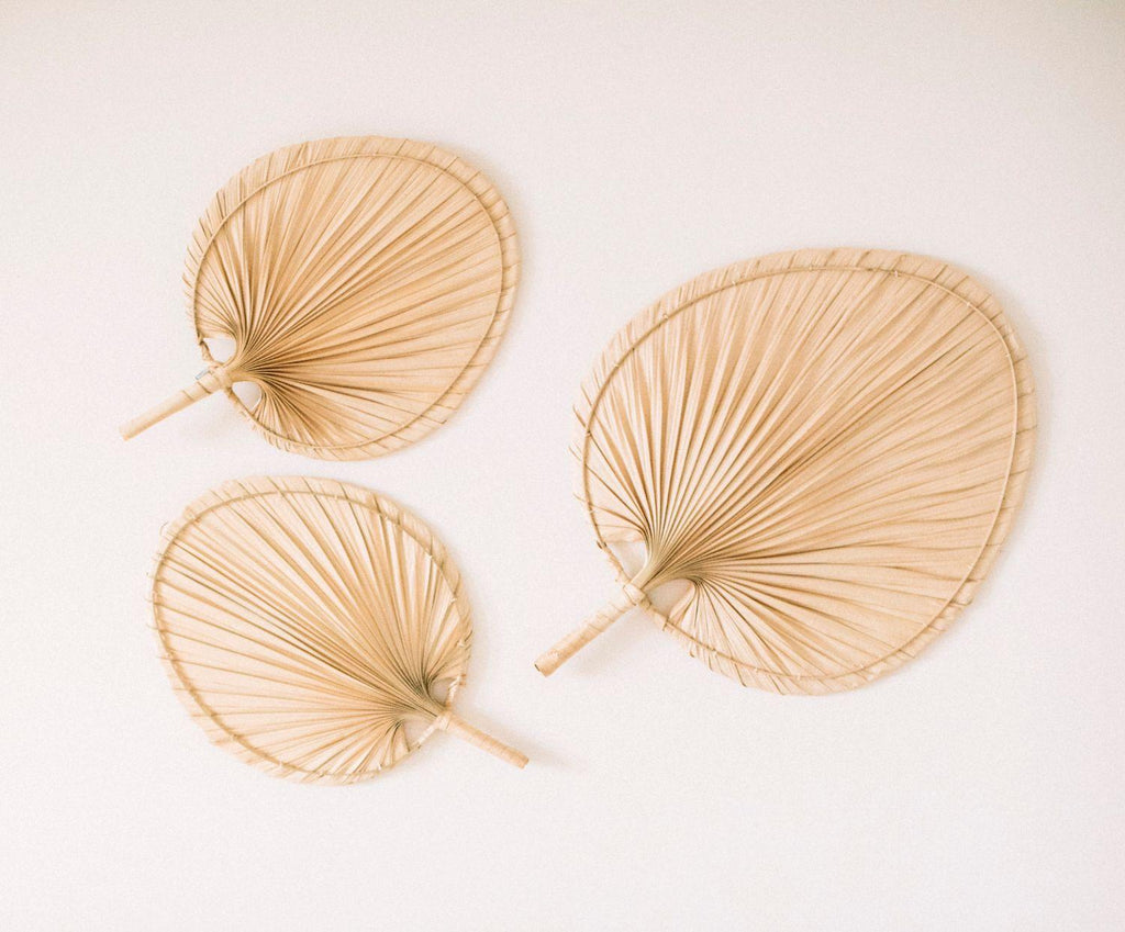 Feuilles de palmier - deux variantes de taille