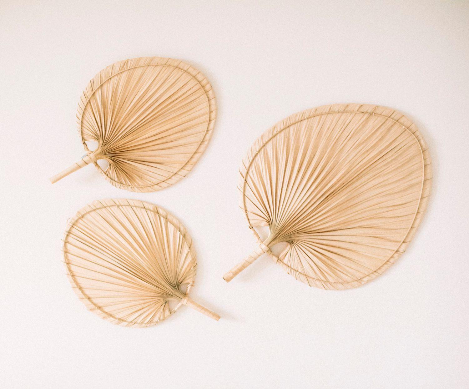 Feuilles de palmier - deux variantes de taille