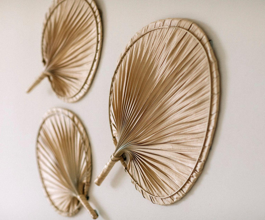 Feuilles de palmier - deux variantes de taille