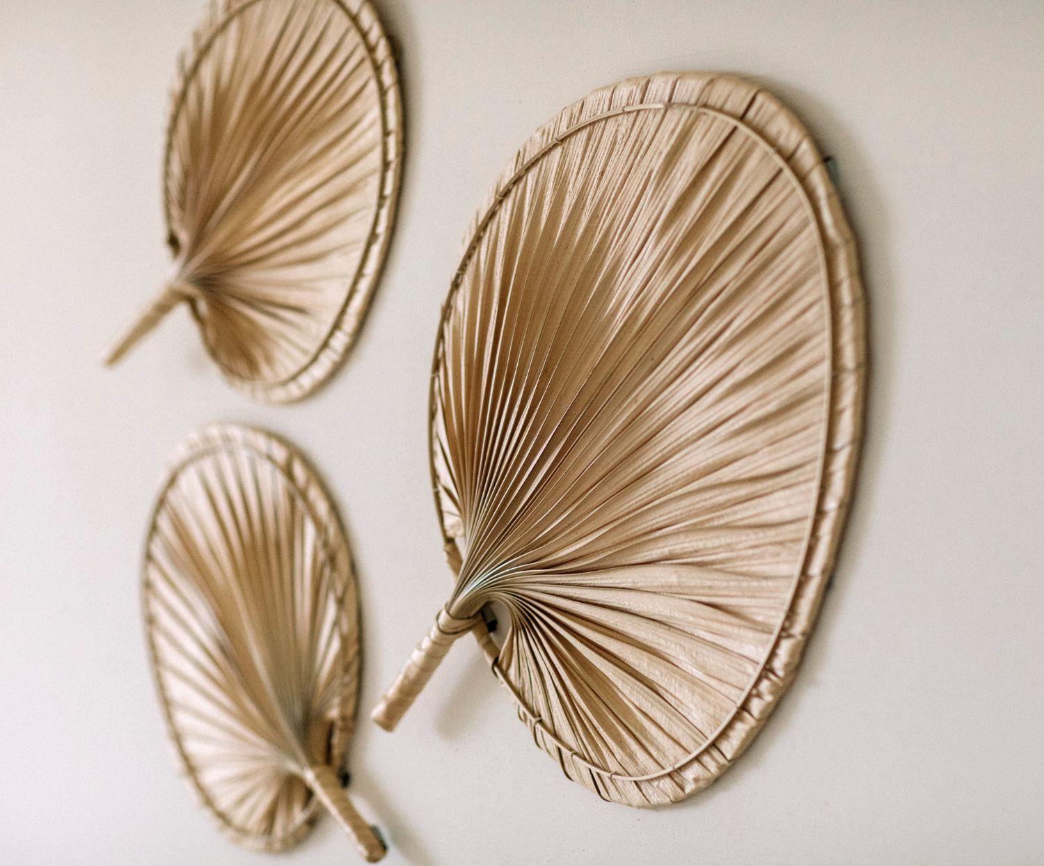 Feuilles de palmier - deux variantes de taille