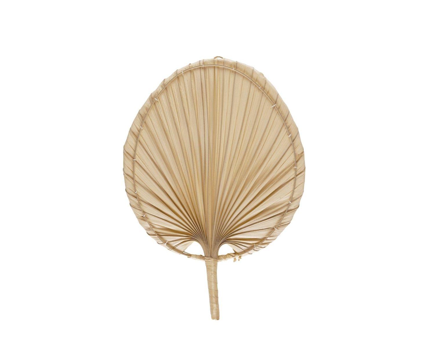 Feuilles de palmier - deux variantes de taille