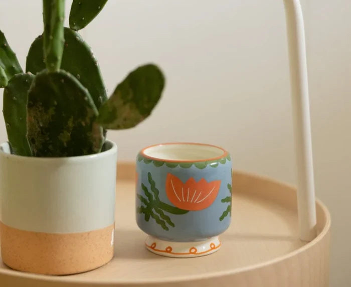 Bougie parfumée « Cactus Flower » Adopo Paddywax - Fleur de cactus